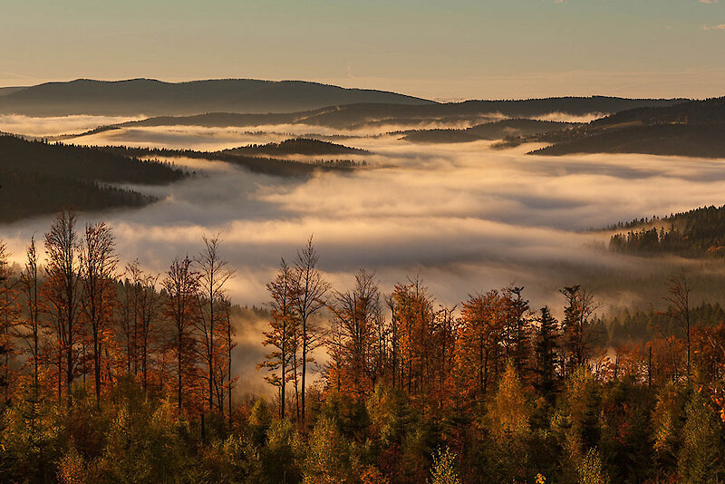 Bayericher Wald Panorama
